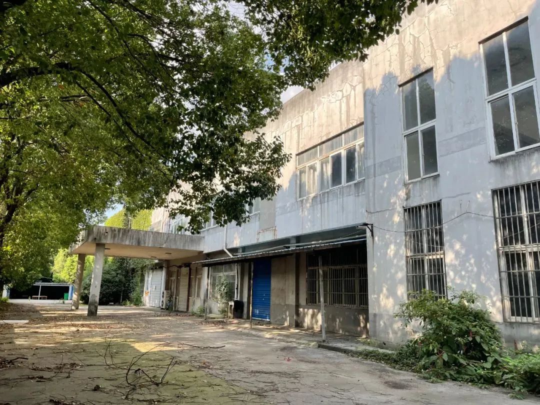 1745464536768141.jpg 1745464536768141.jpg